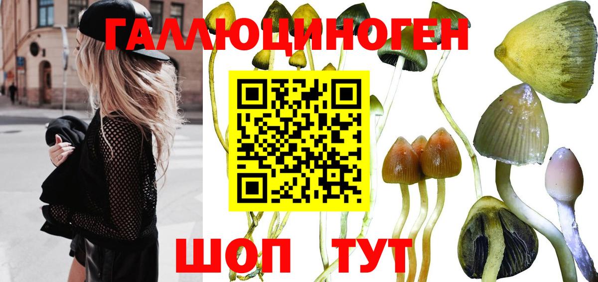 Мирный  Псилоцибиновые грибы Psilocybe  цена наркотик  Вход с VPN 